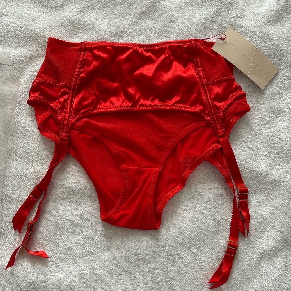 Stella McCartney Cherie Sneezing Suspender Brief